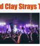 The Red Clay Strays Tickets